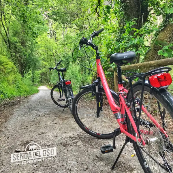 alquiler bicicletas senda del oso