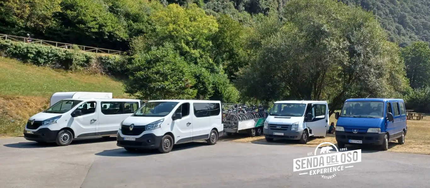 senda del oso alquiler bici con traslado