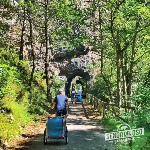 senda del oso alquiler de bicicletas