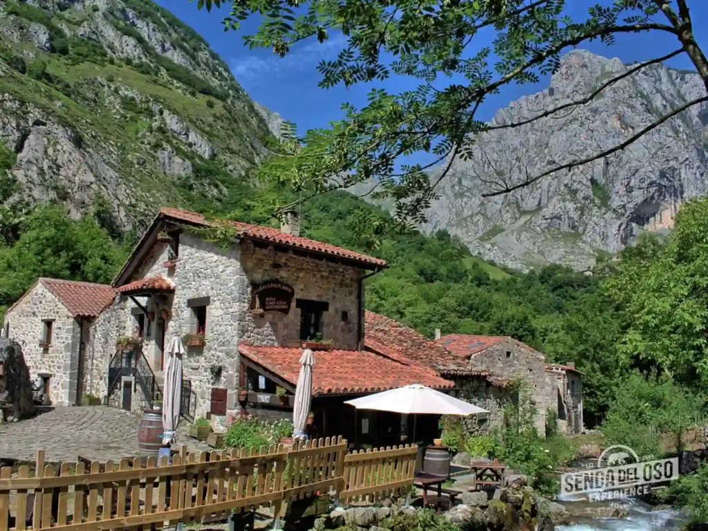 bulnes