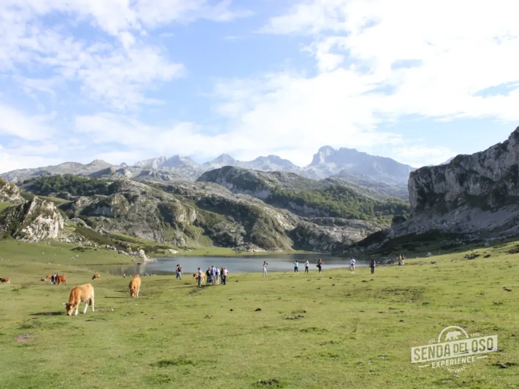 lagos de covadonga