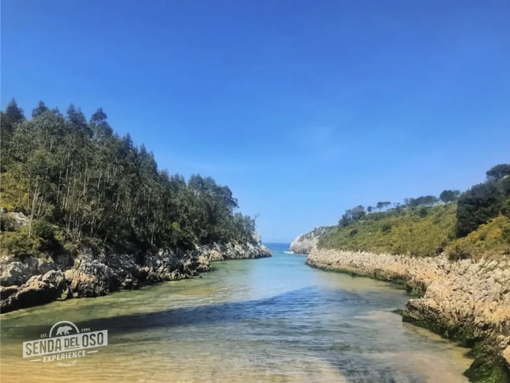 playa de guadamia