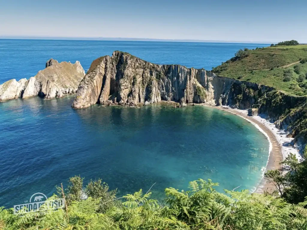 playa del silencio