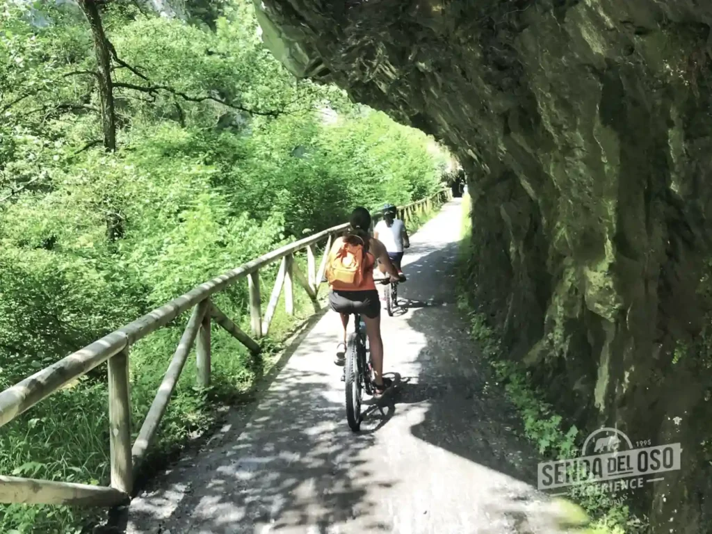senda del oso en bicicleta