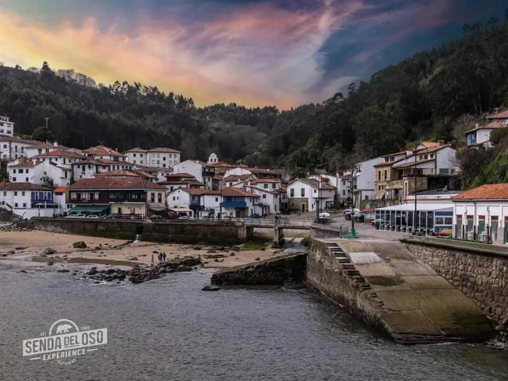 tazones